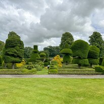 IMG_1147_sRGB