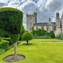 IMG_1149_sRGB