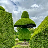 IMG_1151_sRGB