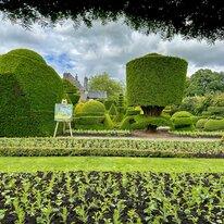 IMG_1153_sRGB