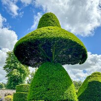 IMG_1155_sRGB