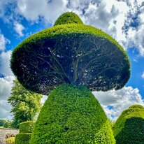 IMG_1156_sRGB