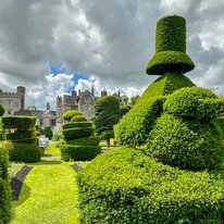 IMG_1157_sRGB