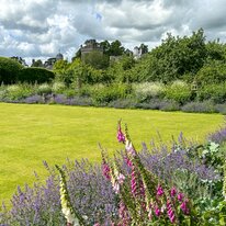 IMG_1159_sRGB