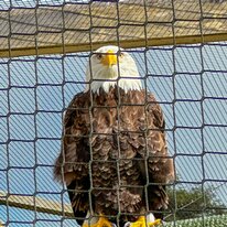 IMG_1243_sRGB