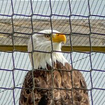IMG_1245_sRGB