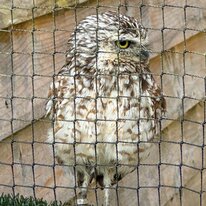 IMG_1247_sRGB