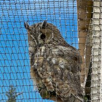 IMG_1248_sRGB