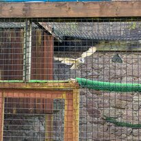 IMG_1251_sRGB