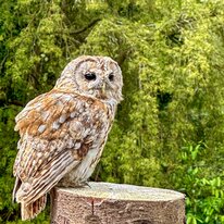 IMG_1260_sRGB