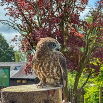 IMG_1265_sRGB