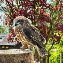 IMG_1266_sRGB