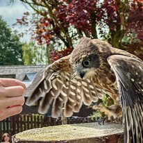 IMG_1268_sRGB