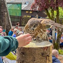IMG_1273_sRGB