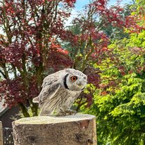 IMG_1275_sRGB