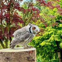 IMG_1278_sRGB