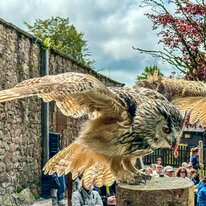 IMG_1281_sRGB