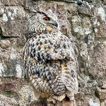 IMG_1283_sRGB