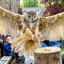 IMG_1286_sRGB