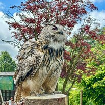 IMG_1288_sRGB