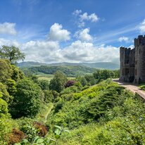 IMG_1291_sRGB