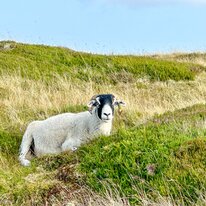Cycling, Tan Hill Inn, Tan Hill Trip