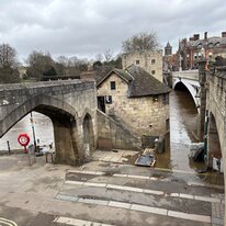 York