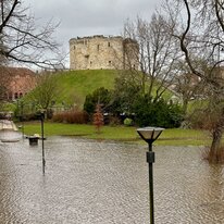 York
