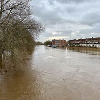 York