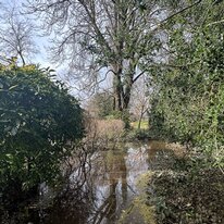 York
