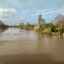 York