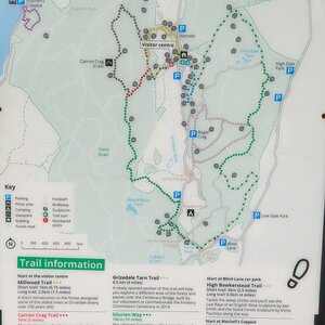 Grizedale Forest