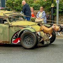 2025, Carnival, Hornsea