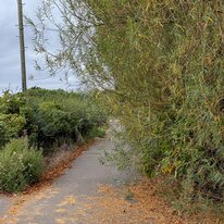 Cycling. 29Sep25, Far Grange, KC3 North