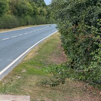 Cycling. 29Sep25, Far Grange, KC3 North