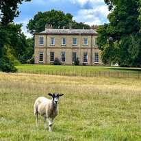 Wassand Hall