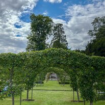 Wassand Hall
