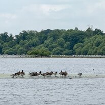 Hornsea, Mere