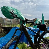 Allotments, Halloween, Hornsea
