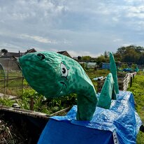 Allotments, Halloween, Hornsea