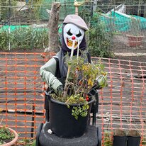 Allotments, Halloween, Hornsea
