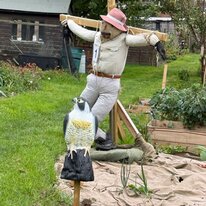 Allotments, Halloween, Hornsea