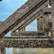 Beach, Hornsea, Low tide