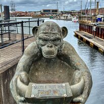 Hartlepool, Monkey World