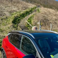Car, Renault, Sandsend, Scenic