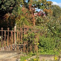Beverely, Coronation Gardens