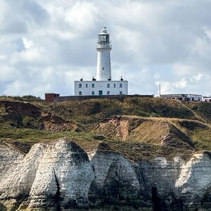 Yorkshire Belle