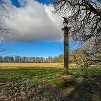 Burton Agness Hall