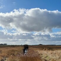 Donna Nook