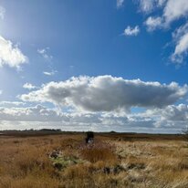 Donna Nook